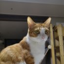 이쁘다 멍 이미지