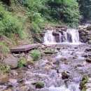 정선 도원펜션&캠핑장 이미지