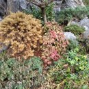 로얄커피숍 - 구로구 가마산로 191 | 로얄커피숍