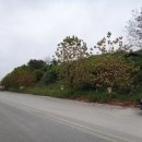 남구-57 이미지