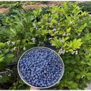 미래(노인요양복지센터) 이미지