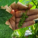 영재농장 이미지