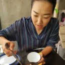 캣츠살롱 이미지