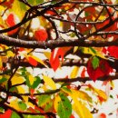 계절의집 이미지