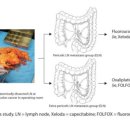 SCI 메디컬 이미지