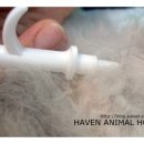 헤이븐동물병원 이미지