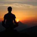 나무이야기 | <아주 작은 나무 이야기> 이수