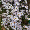 체리농원민박 이미지