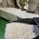 안성마춤농협 미곡처리장 이미지