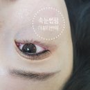 더뷰티반야