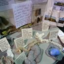 유남농장 이미지