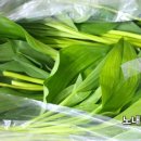 홍천노내골농장
