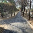 비둘기공원1 이미지