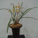 동래원예고등학교 이미지