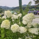 ♤좋은 인연♤ 이미지