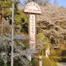 박터진 흥부네 이미지