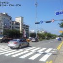 진해대로-1 이미지