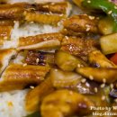 미락장어 이미지