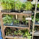 경기종묘사 이미지