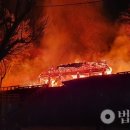 호국관음사 법보신문