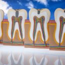 늘편한치과의원 이미지