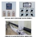 솔향오리농원 | 씹을수록 깊은 향과 맛 참송이버섯