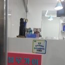 역 바버샵에서 오늘 남편이랑 다녀온 염색+컷세트 후기, 놀라운 가격과 친절함이 가득한 블루가이 방문기