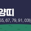 31바 5049 이미지