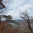 (주)웰프 이미지