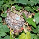 동산통신 이미지