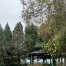 도그캠프 이미지