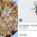 끝판왕피자 이미지