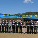 동강시스타 골프장 이미지