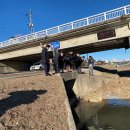 금호강영천 이미지