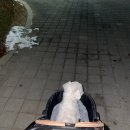 천풍동물병원