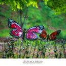 대가야역사테마관광지 이미지