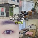 경산 사동 속눈썹펌 미모당 방문 후기