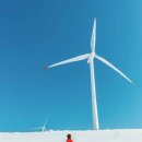 삼양농장 이미지