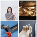 덴하우스구강악안면외과치과의원 | 내 작은 칫솔, 치아 건강 지키는 습관과 이갈이 멈추는 방법