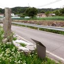 국곡리 입석 이미지