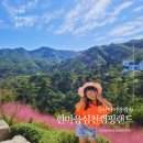심천힐링관광농원 | 금산캠핑장 한마음심천캠핑랜드 가을캠핑의 좋은 기억