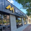 몰리짐 문덕 네이버블로그