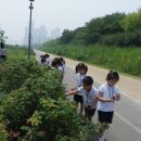 부광 유치원 이미지