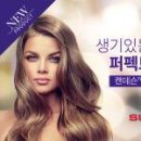 썬라이더 - 광산구 월계로 203 | 썬라이더