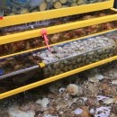 봄봄수산 이미지