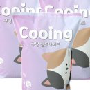 착한 고양이 이미지