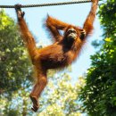 아트플라이 이미지