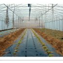 동수농장 이미지