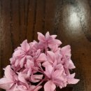 내안경로당 이미지