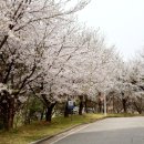 인쇄소청운